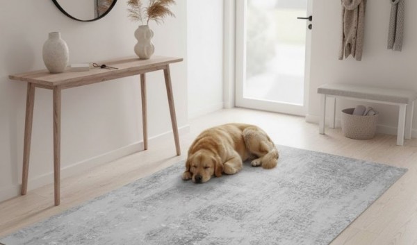 Pet-friendly carpets - selection of materials and patterns
